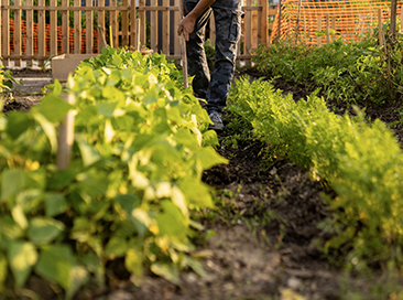 Ateliers de jardinage