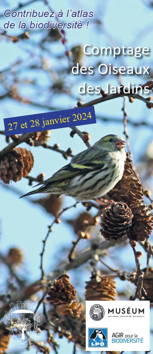 Comptage des oiseaux 2024