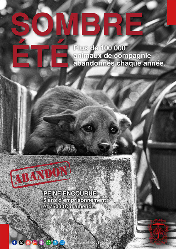 Campagne abandon animaux